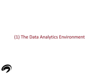 (1) The Data Analytics Environment 
3 
 