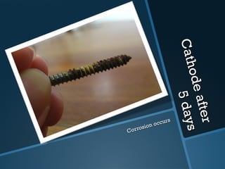 Cathode after  5 days Corrosion occurs 