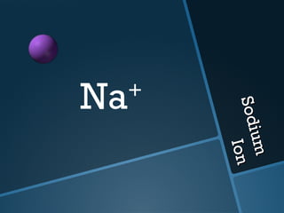 Sodium  Ion Na + 