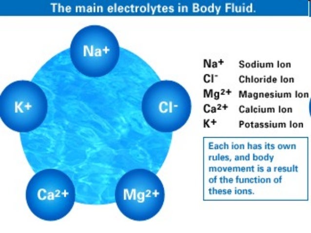 How Does Magnesium Regulate Electrolyte Balance? – FZFJK