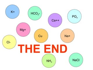 Na+ Ca++ Cl- Mg+ K+ PO 4 NH 3 Cu HCO 3 - NaCl THE END 