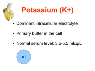 Potassium (K+) Dominant intracellular electrolyte Primary buffer in the cell Normal serum level: 3.5-5.5 mEq/L K+ 