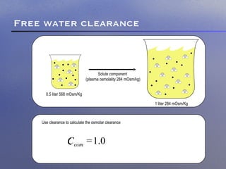 Electrolyte Free Water Clearance | PPT