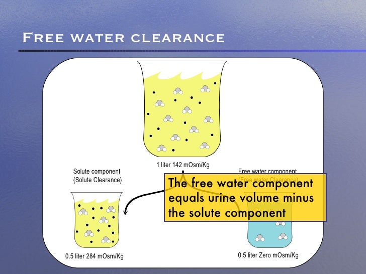 electrolyte free water clearance
