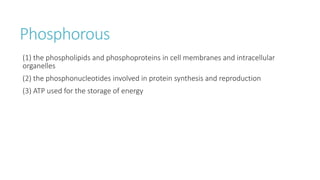 Phosphorous
(1) the phospholipids and phosphoproteins in cell membranes and intracellular
organelles
(2) the phosphonucleotides involved in protein synthesis and reproduction
(3) ATP used for the storage of energy
 