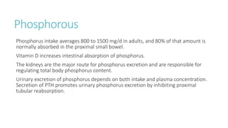 Phosphorous
Phosphorus intake averages 800 to 1500 mg/d in adults, and 80% of that amount is
normally absorbed in the proximal small bowel.
Vitamin D increases intestinal absorption of phosphorus.
The kidneys are the major route for phosphorus excretion and are responsible for
regulating total body phosphorus content.
Urinary excretion of phosphorus depends on both intake and plasma concentration.
Secretion of PTH promotes urinary phosphorus excretion by inhibiting proximal
tubular reabsorption.
 