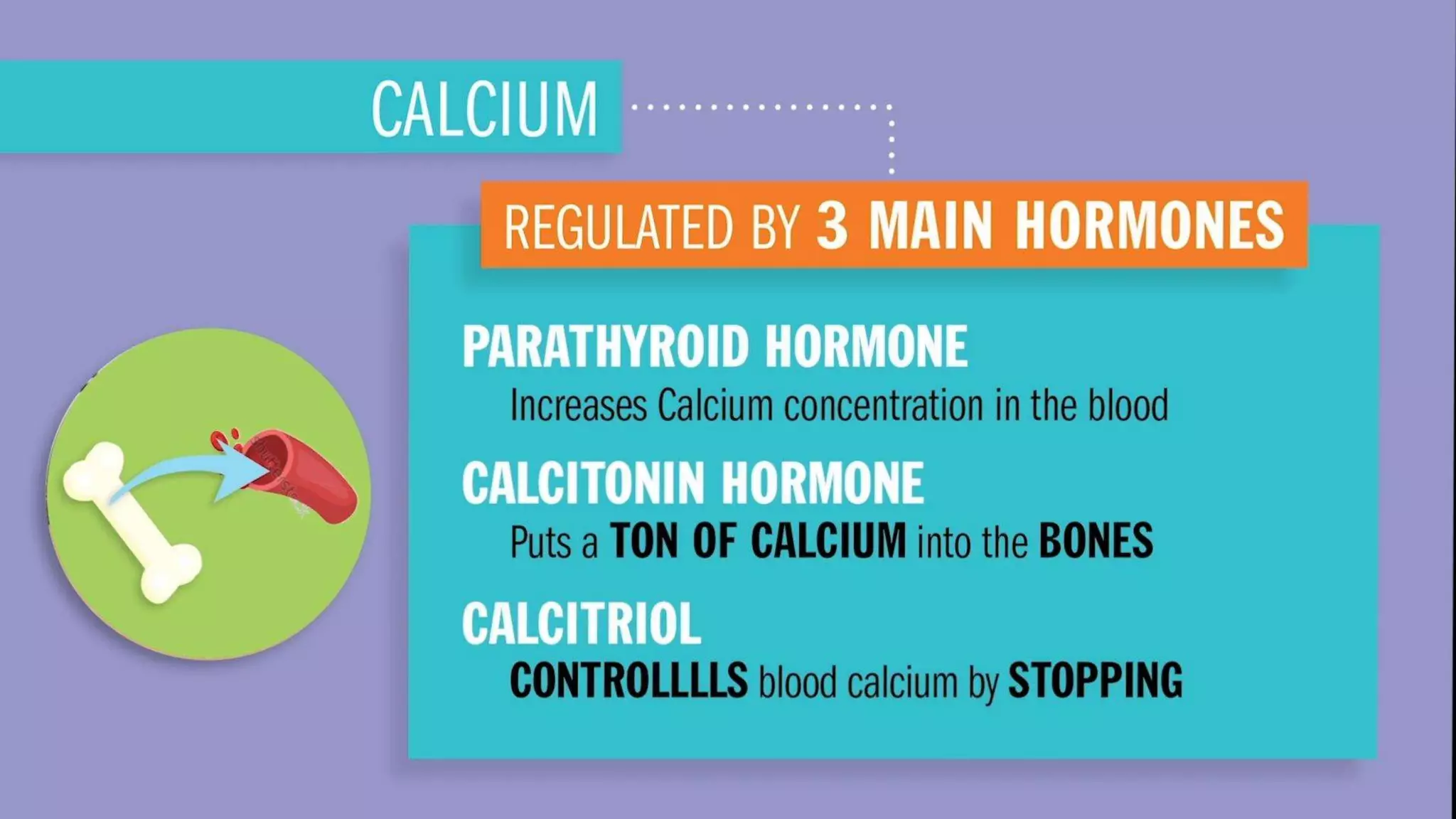 Calcium imbalances- hypocalcemia and hypercalcemia | PPTX