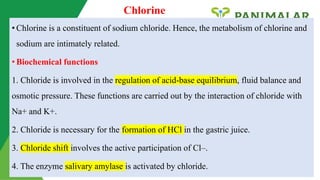 electrolytes mbbs class 2024 new.pptx ppt | PPTX
