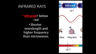 INFRARED RAYS
•Infrared= below
red
•Shorter
wavelength and
higher frequency
than microwaves.
 