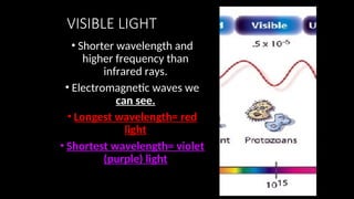 VISIBLE LIGHT
• Shorter wavelength and
higher frequency than
infrared rays.
• Electromagnetic waves we
can see.
• Longest wavelength= red
light
• Shortest wavelength= violet
(purple) light
 