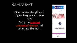 GAMMA RAYS
•Shorter wavelength and
higher frequency than X-
rays
•Carry the greatest
amount of energy and
penetrate the most.
 