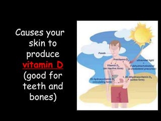 Causes your
skin to
produce
vitamin D
(good for
teeth and
bones)
 