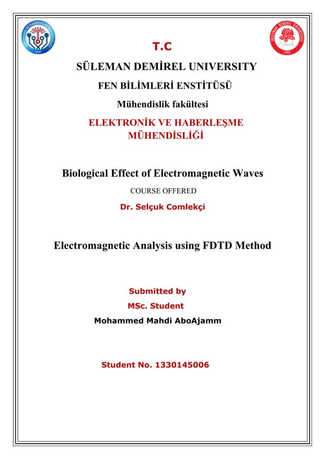 Electromagnetic analysis using FDTD method, Biological Effects Of EM ...