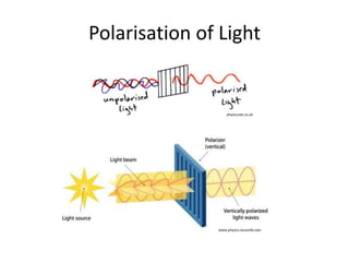 Polarisation of Light 
physicsnet.co.uk 
www.physics.louisville.edu 
 