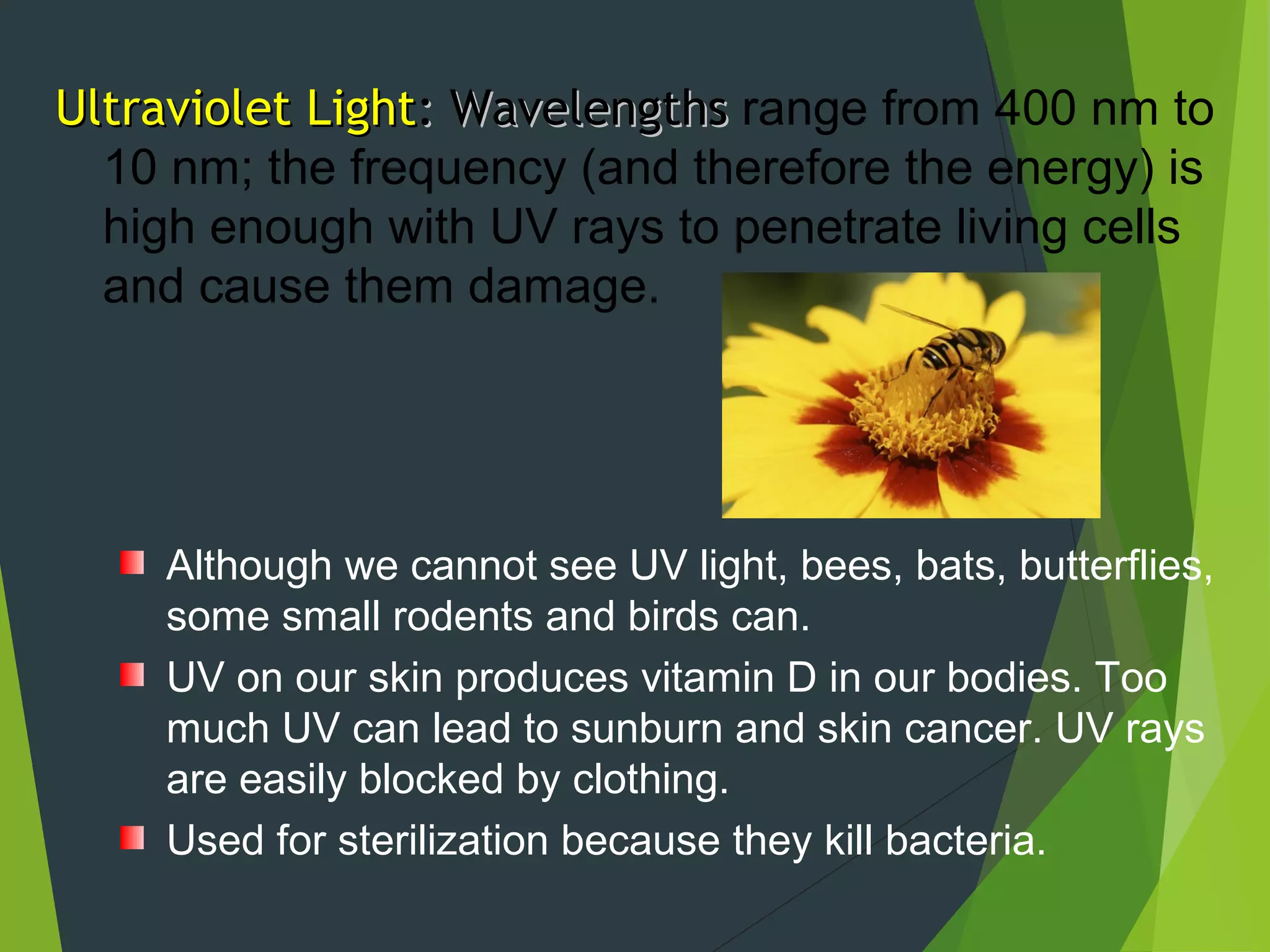 Ultraviolet LightUltraviolet Light: Wavelengths: Wavelengths range from 400 nm to
10 nm; the frequency (and therefore the energy) is
high enough with UV rays to penetrate living cells
and cause them damage.
Although we cannot see UV light, bees, bats, butterflies,
some small rodents and birds can.
UV on our skin produces vitamin D in our bodies. Too
much UV can lead to sunburn and skin cancer. UV rays
are easily blocked by clothing.
Used for sterilization because they kill bacteria.
 