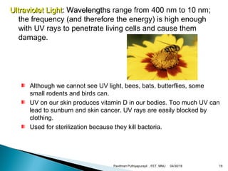 Ultraviolet LightUltraviolet Light: Wavelengths: Wavelengths range from 400 nm to 10 nm;
the frequency (and therefore the energy) is high enough
with UV rays to penetrate living cells and cause them
damage.
Although we cannot see UV light, bees, bats, butterflies, some
small rodents and birds can.
UV on our skin produces vitamin D in our bodies. Too much UV can
lead to sunburn and skin cancer. UV rays are easily blocked by
clothing.
Used for sterilization because they kill bacteria.
04/30/18Pavithran Puthiyapurayil , FET, MNU 18
 