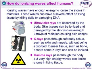 © Boardworks Ltd 2006
18 of 24
How do ionizing waves affect humans?
Ionizing waves have enough energy to ionize the atoms in
materials. These waves can have a severe effect on living
tissue by killing cells or damaging DNA.
 Ultraviolet rays are absorbed by the
body. Skin tissues can be ionized and
damaged by the shortest-wavelength
ultraviolet radiation causing skin cancer.
 X-rays pass through soft body tissue,
such as skin and muscle, without being
absorbed. Denser tissue, such as bone,
absorb some X-rays and can be ionized.
 Gamma rays pass through the body
but very high energy waves can ionize
atoms in living tissue.
 