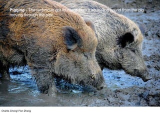 Charlie Chong/ Fion Zhang
Pigging - The technique got its name from a squealing sound from the pig
moving through the pipe.
 