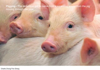 Charlie Chong/ Fion Zhang
Pigging - The technique got its name from a squealing sound from the pig
moving through the pipe.
 