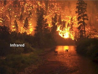 Infrared