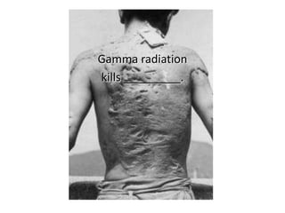 Gamma radiationkills _________.