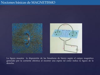 Nociones básicas de MAGNETISMO 
La figura muestra la disposición de las limaduras de hierro según el campo magnético 
generado por la corriente eléctrica al recorrer una espira tal como indica la figura de la 
derecha. 
 