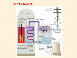 CENTRAL NUCLEAR
 