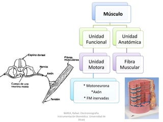 BAREA, Rafael. Electromiografía.  Instrumentación Biomédica. Universidad de Alcalá