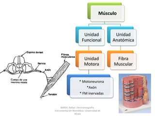 BAREA, Rafael. Electromiografía.  Instrumentación Biomédica. Universidad de Alcalá