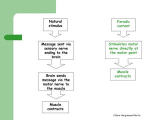 Clare Hargreaves-Norris 
Natural 
stimulus 
Message sent via 
sensory nerve 
ending to the 
brain 
Brain sends 
message via the 
motor nerve to 
the muscle 
Muscle 
contracts 
Faradic 
current 
Stimulates motor 
nerve directly at 
the motor point 
Muscle 
contracts 
 