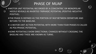 PHASE OF MUAP
MOTOR UNIT POTENTIAL RECORDED BY A CONCENTRIC OR MONOPOLAR
NEEDLE REVEALS AS INVERTED TRIPHASIC POTENTIAL (POSITIVE-NEGATIVE
POSITIVE).
THE PHASE IS DEFINED AS THE PORTION OF MUP BETWEEN DEPARTURE AND
RETURN TO THE BASELINE.
 A MOTOR UNIT ACTION POTENTIAL WITH MORE THAN FOUR PHASES IS CALLED
AS POLYPHASIC POTENTIAL.
SOME POTENTIALS SHOW DIRECTIONAL CHANGES WITHOUT CROSSING THE
BASELINE AND THESE ARE KNOWN AS TURNS.
 