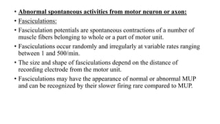 • Abnormal spontaneous activities from motor neuron or axon:
• Fasciculations:
• Fasciculation potentials are spontaneous contractions of a number of
muscle fibers belonging to whole or a part of motor unit.
• Fasciculations occur randomly and irregularly at variable rates ranging
between 1 and 500/min.
• The size and shape of fasciculations depend on the distance of
recording electrode from the motor unit.
• Fasciculations may have the appearance of normal or abnormal MUP
and can be recognized by their slower firing rare compared to MUP.
 