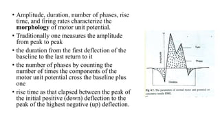 • Amplitude, duration, number of phases, rise
time, and firing rates characterize the
morphology of motor unit potential.
• Traditionally one measures the amplitude
from peak to peak
• the duration from the first deflection of the
baseline to the last return to it
• the number of phases by counting the
number of times the components of the
motor unit potential cross the baseline plus
one
• rise time as that elapsed between the peak of
the initial positive (down) deflection to the
peak of the highest negative (up) deflection.
 