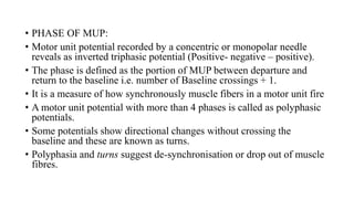 • PHASE OF MUP:
• Motor unit potential recorded by a concentric or monopolar needle
reveals as inverted triphasic potential (Positive- negative – positive).
• The phase is defined as the portion of MUP between departure and
return to the baseline i.e. number of Baseline crossings + 1.
• It is a measure of how synchronously muscle fibers in a motor unit fire
• A motor unit potential with more than 4 phases is called as polyphasic
potentials.
• Some potentials show directional changes without crossing the
baseline and these are known as turns.
• Polyphasia and turns suggest de-synchronisation or drop out of muscle
fibres.
 