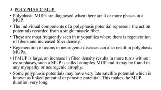 3. POLYPHASIC MUP:
• Polyphasic MUPs are diagnosed when there are 4 or more phases in a
MUP.
• The individual components of a polyphasic potential represent the action
potentials recorded from a single muscle fiber.
• These are most frequently seen in myopathies where there is regeneration
of fibers and increased fiber density.
• Regeneration of axons in neurogenic diseases can also result in polyphasic
MUPs.
• If MUP is large, an increase in fiber density results in more turns without
extra phases, such a MUP is called complex MUP and it may be found in
any myopathy or neurogenic atrophy.
• Some polyphasic potentials may have very late satellite potential which is
known as linked potential or parasite potential. This makes the MUP
duration very long.
 