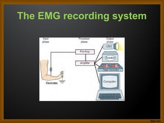 The EMG recording system
 