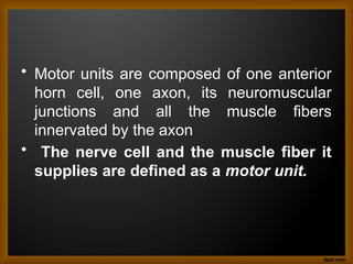 • Motor units are composed of one anterior
horn cell, one axon, its neuromuscular
junctions and all the muscle fibers
innervated by the axon
• The nerve cell and the muscle fiber it
supplies are defined as a motor unit.
 