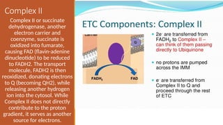 Electron-Transport-ChainsElectron-Transport-Chainss.pptxs.pptx