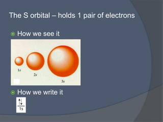 The S orbital – holds 1 pair of electrons 
 How we see it 
 How we write it 
 