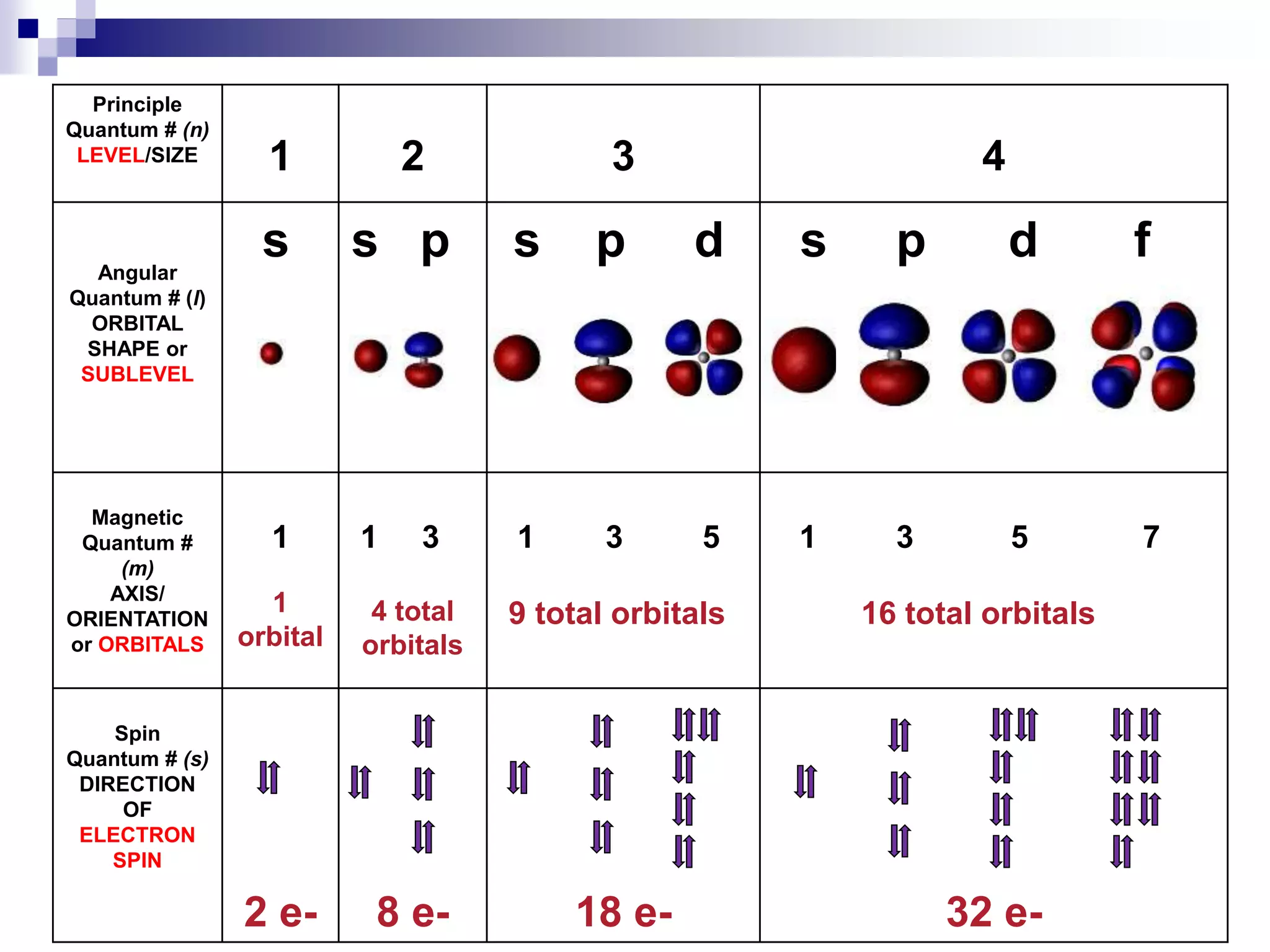 Principle
Quantum # (n)
LEVEL/SIZE 1 2 3 4
Angular
Quantum # (l)
ORBITAL
SHAPE or
SUBLEVEL
s s p s p d s p d f
Magnetic
Quantum #
(m)
AXIS/
ORIENTATION
or ORBITALS
1
1
orbital
1 3
4 total
orbitals
1 3 5
9 total orbitals
1 3 5 7
16 total orbitals
Spin
Quantum # (s)
DIRECTION
OF
ELECTRON
SPIN
2 e- 8 e- 18 e- 32 e-
 