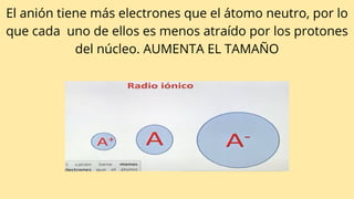 El anión tiene más electrones que el átomo neutro, por lo
que cada uno de ellos es menos atraído por los protones
del núcleo. AUMENTA EL TAMAÑO
 
