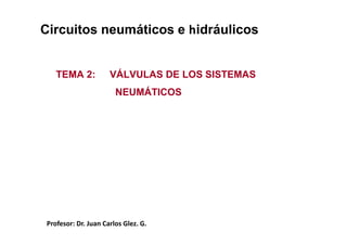 Circuitos neumáticos e hidráulicos
TEMA 2: VÁLVULAS DE LOS SISTEMAS
NEUMÁTICOS
Tema 12. Válvulas de los sistemas neumáticos
Profesor: Dr. Juan Carlos Glez. G.
 