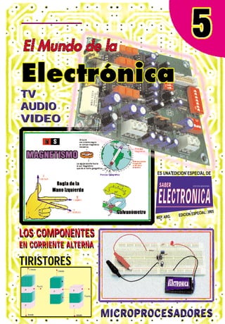 TV
AUDIO
VIDEO
TV
AUDIO
VIDEO
MICROPROCESADORESMICROPROCESADORES
SSAABBEERR
EELLEECCTTRROONNIICCAA
EDICION ARGENTINA
ES UNA EDICION ESPECIAL DE
REP. ARG. EDICION ESPECIAL: 3005
LOS COMPONENTES
EN CORRIENTE ALTERNA
TIRISTORES
LOS COMPONENTES
EN CORRIENTE ALTERNA
TIRISTORES
 