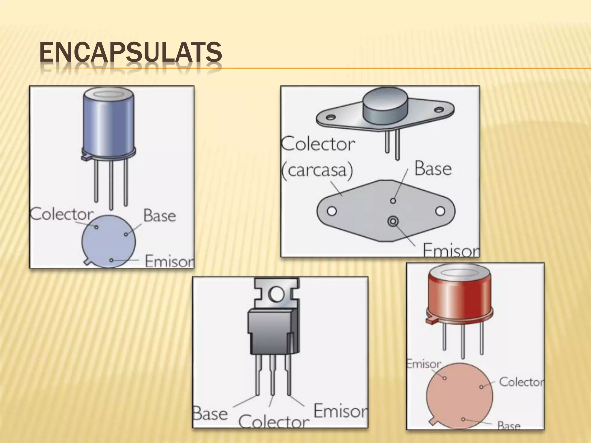 ENCAPSULATS
 