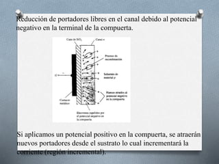 Reducción de portadores libres en el canal debido al potencial
negativo en la terminal de la compuerta.
Si aplicamos un potencial positivo en la compuerta, se atraerán
nuevos portadores desde el sustrato lo cual incrementará la
corriente (región incremental).
 