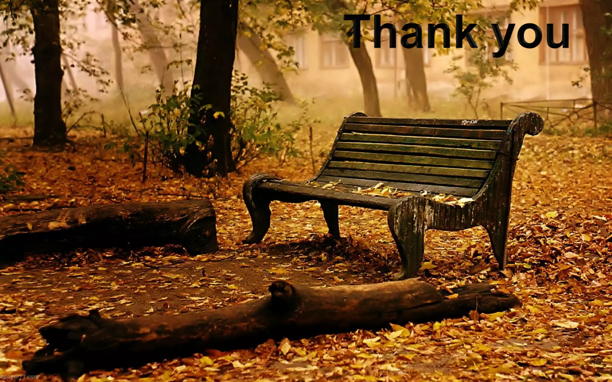 Electronic apex locator by  dr.imran m.shaikh