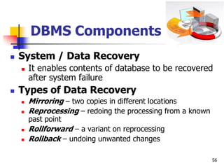 Database Reprocessing Electronic Data Processing | PDF