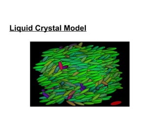 Liquid Crystal Model
 