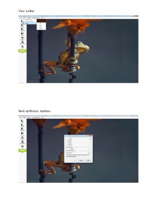 View toolbar
Back-up/Restore database
 