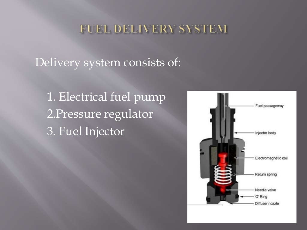 Electronic fuel injection system